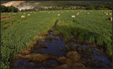 North Macedonia.  Agricultural lands