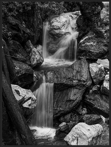 Whispers of the Stream