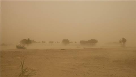 Saudi Aravia - Jazzan Moongrove at the coastline