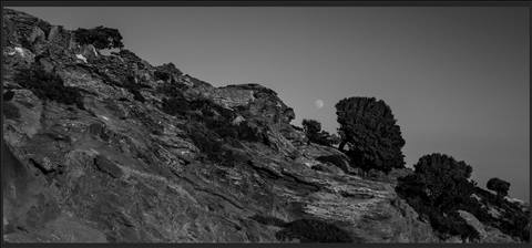 Prehistoric landscape in Andros II