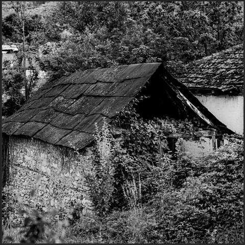 Sloestica - NMK II